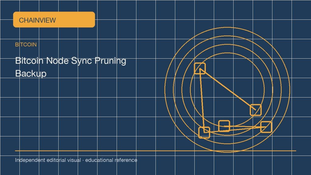 比特币 · 简体中文版:Running a pruned Bitcoin node: validation, storage and wallet recovery; independent editorial visual