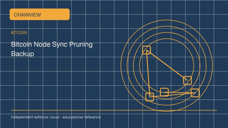 比特币 · 简体中文版：Running a pruned Bitcoin node: validation, storage and wallet recovery; independent editorial visual