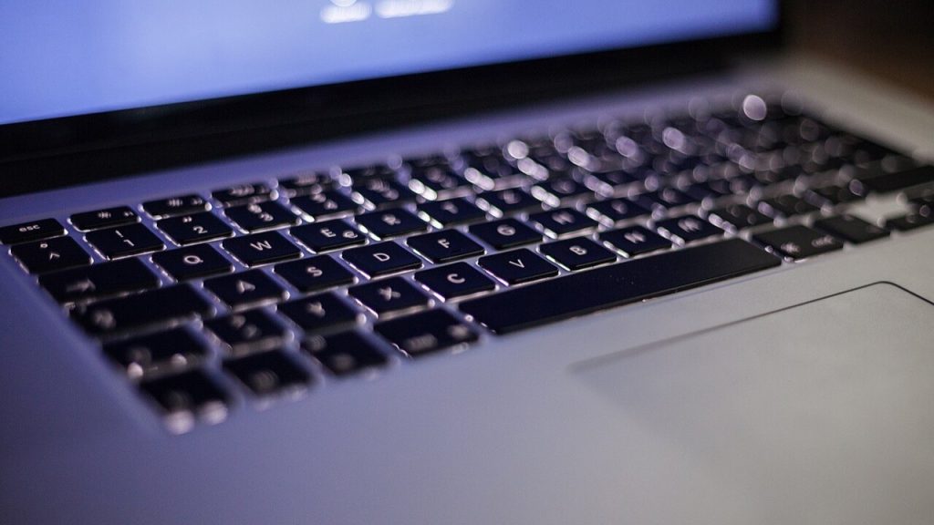 Checking phishing domains: spelling, certificates and login flows; editorial cover